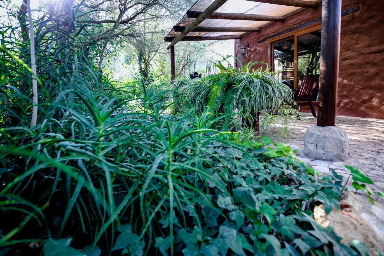 Tikal Boungalows Hotel Malcocinado  Екстериор снимка